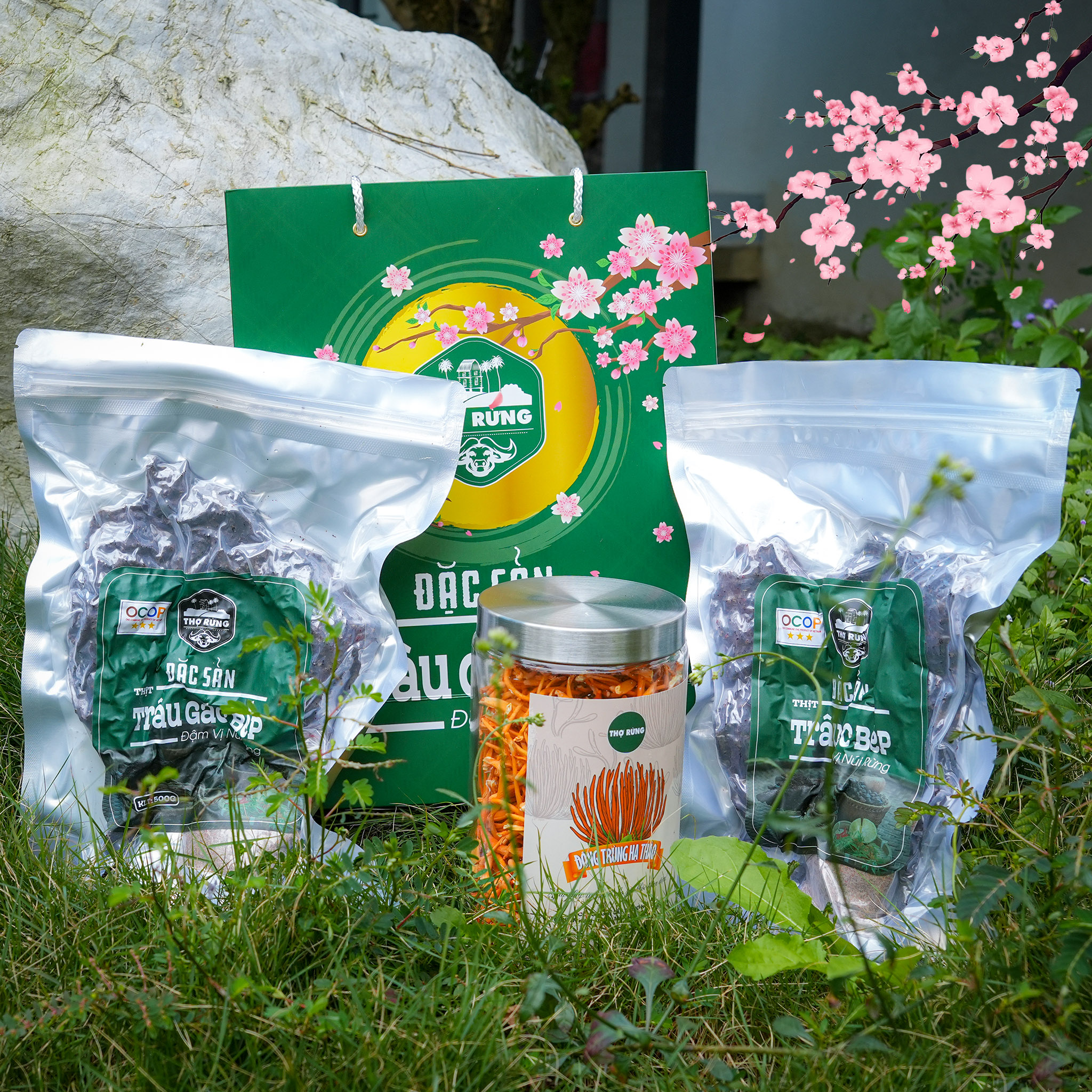 /combo-tet-2026-p200.html